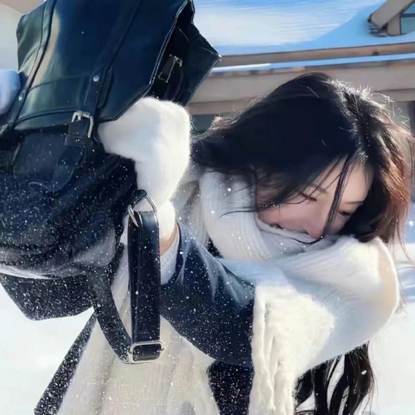香车艳尸
