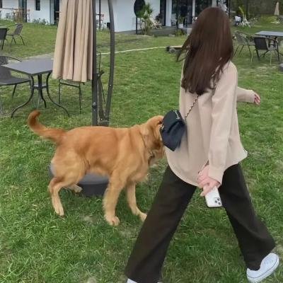 倒数第二次恋爱